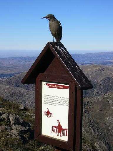 149_Camera.JPG - Condorito National Park