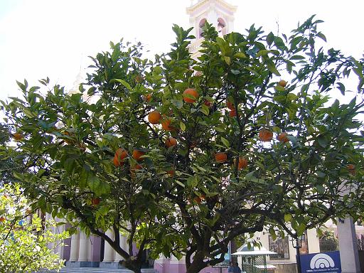 236_Camera.JPG - Salta