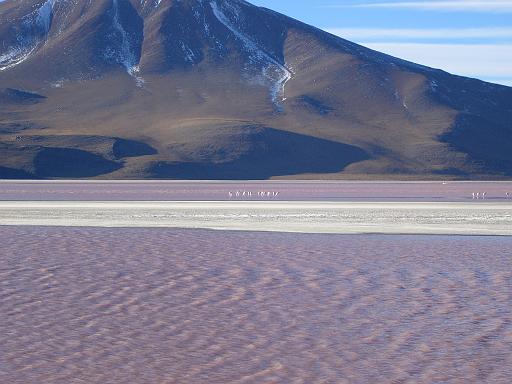 443_Camera.JPG - Altiplano