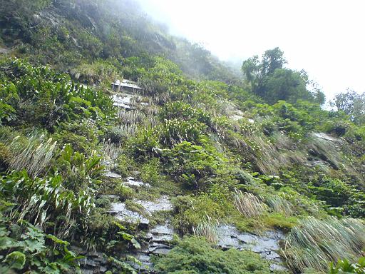 498_Phone.JPG - on the death road