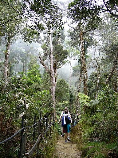 P103009111.JPG - climbing mt kinabalu