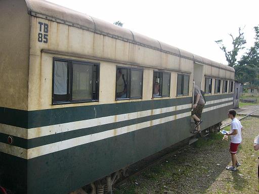 P10302351.JPG - train through jungle