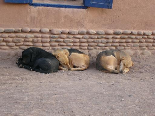 401_Camera.JPG - San Pedro de Atacama