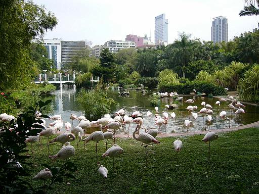 11581.jpg - hong kong