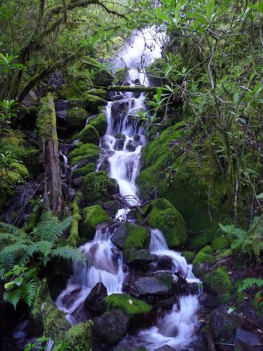 P1000284.JPG - Tierras Nortes, Mexico