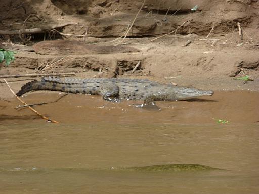 P1000325.JPG - Canyon de Sumidero, Mexico