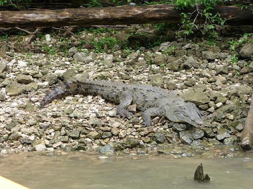 P1000358.JPG - Canyon de Sumidero, Mexico
