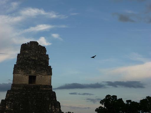 P1000478.JPG - Tikal, Guatemala