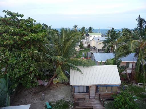 P1000592.JPG - Caye Caulker, Belize