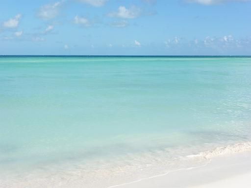 P1000627.JPG - Isla de las Mujeres, Mexico