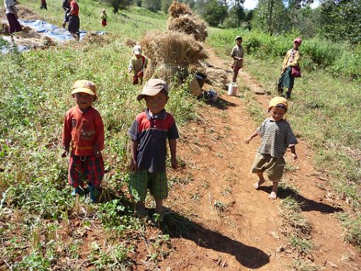 P1020203.JPG - Trekking from Kalaw to Inle Lake