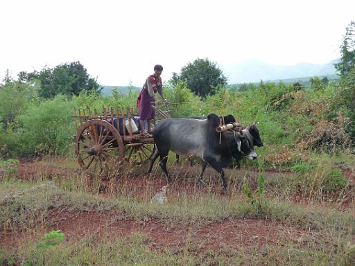P1020282.JPG - Trekking from Kalaw to Inle Lake