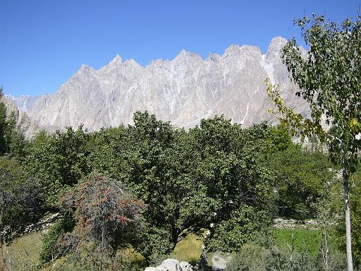 P1060435.JPG - passu