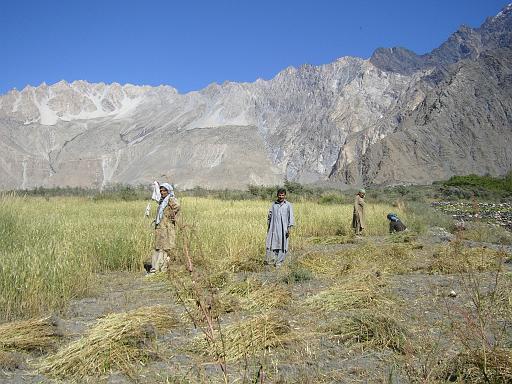 P1060451.JPG - near passu