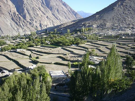 P1060464.JPG - near passu