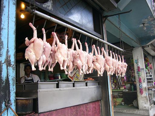 P1060623.JPG - gilgit