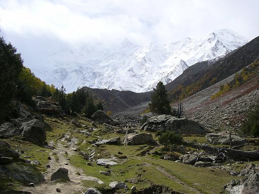 P1060659.JPG - fairy meadows