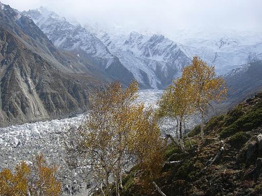 P1060667.JPG - fairy meadows