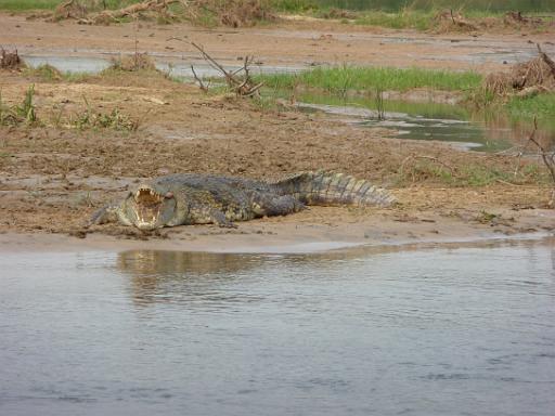 P1040915.JPG - Murchison Falls Safari