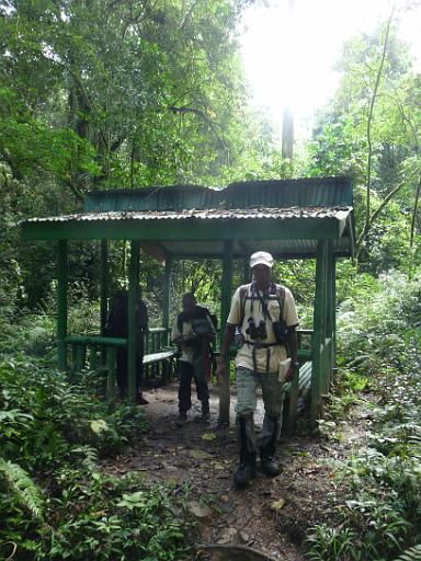 P1050063.JPG - Nkuringo Walking Safari (Bwindi Impenetrable NP)
