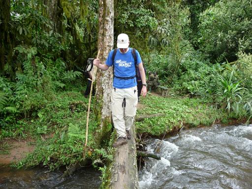 P1050076.JPG - Nkuringo Walking Safari (Bwindi Impenetrable NP)