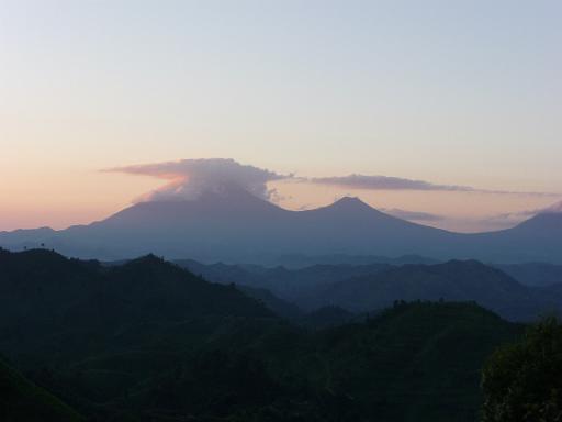 P1050095.JPG - Nkuringo Walking Safari, view of the Virunga volcanos