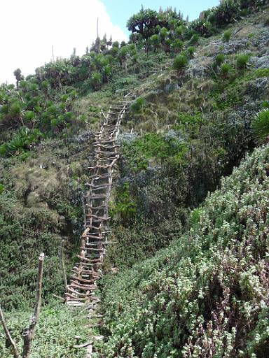 P1050236.JPG - climbing Mt. Muhabura