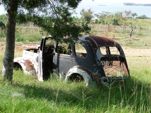 P1050312.JPG - Entebbe zoo