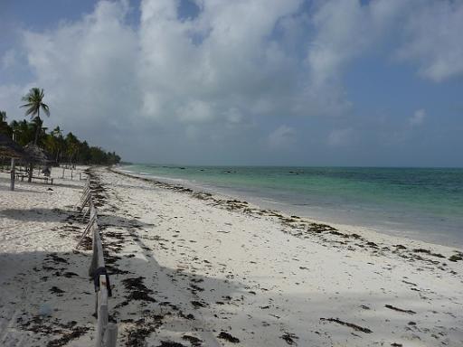 P1050346.JPG - Jambini beach, Zanzibar