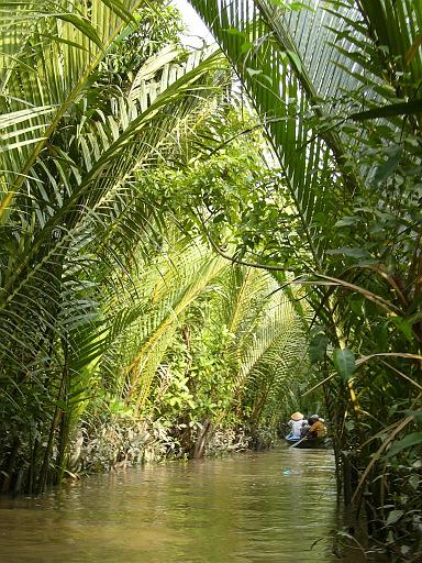 6061.JPG - mekong delta
