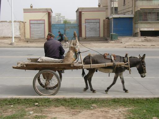 P1060191.JPG - kashgar