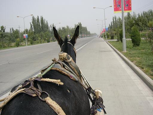 P1060221.JPG - kashgar